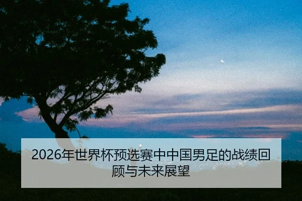 nian-shi-jie-bei-yu-xuan-sai-zhong-zhong-guo-nan-zu-de-zhan-ji-hui-gu-yu-wei-lai-zhan-wang-2-341.jpg