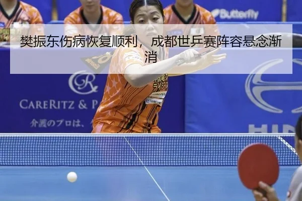 fan-zhen-dong-shang-bing-hui-fu-shun-li-cheng-du-shi-ping-sai-zhen-rong-xuan-nian-jian-xiao-2-822.jpg