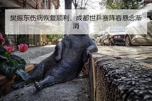 樊振东伤病恢复顺利，成都世乒赛阵容悬念渐消